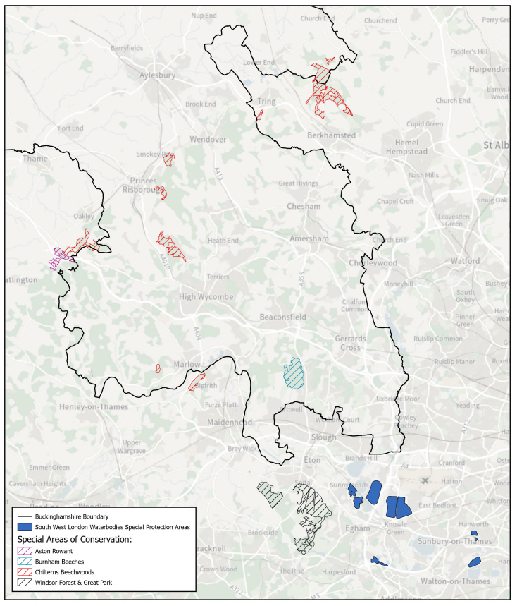 Map showing Special Areas of Conservation and Special Protection Areas (South West London Waterbodies).