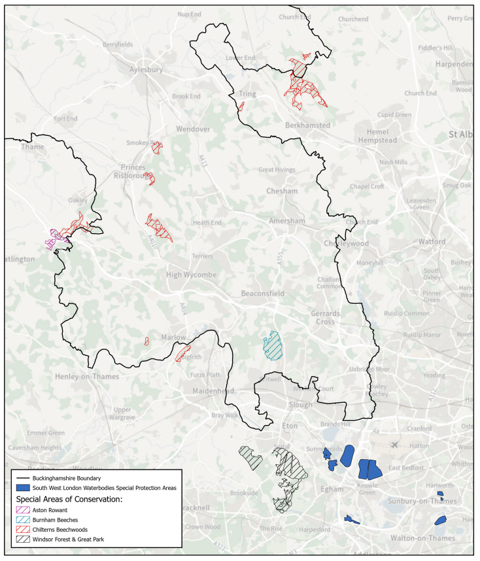 Map of Buckinghamshire highlighting the South West London Waterbodies Special Protection Area and Special Areas of Conservation: Aldenham Reservoir, Chesham Moors, Chiltern Beechwoods, and Windsor Forest & Great Park.