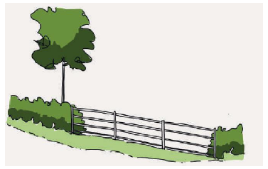 Illustration of boundaries made using timber post and rail fencing around trees and bushes.