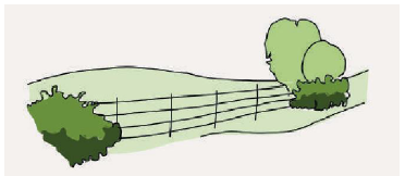 Illustration of estate boundaries made using steel railing and hedgerows around bushes. 