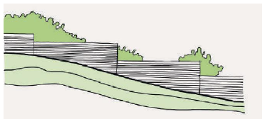 Illustration of boundary wall made of bricks.