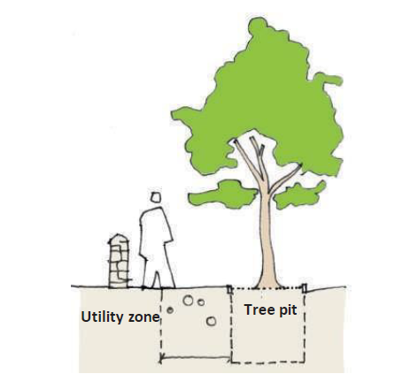 Illustration of a tree showing a 'Tree pit' under it in the soil and 'Utility zone' at some distance in the soil