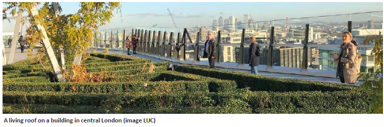 People walking on a living roof of a building full of greenery. A living roof on a building in central London (image LUC)
