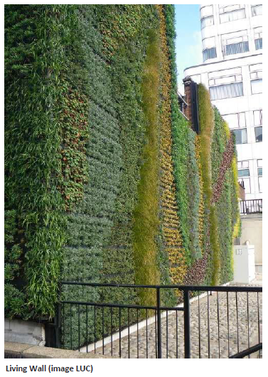 A living wall (Image LUC)