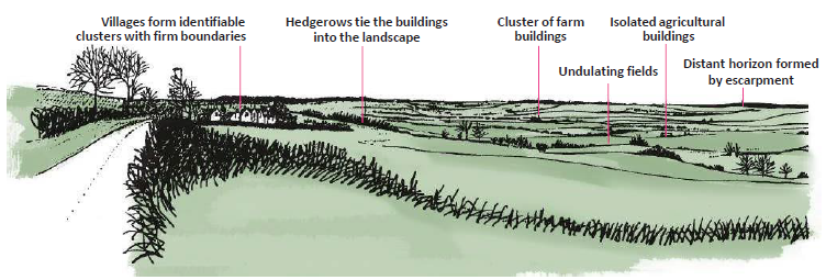 Diagram of a rolling hills with homes in the background. Annotated with: villages form identifiable clusters with firm boundaries. Hedgerows tie the buildings into the landscape. Cluster of farm buildings. Undulating fields. Isolated agricultural buildings. Distant horizon formed by escarpment. 