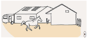 Diagram of a stable/riding school and a horse 