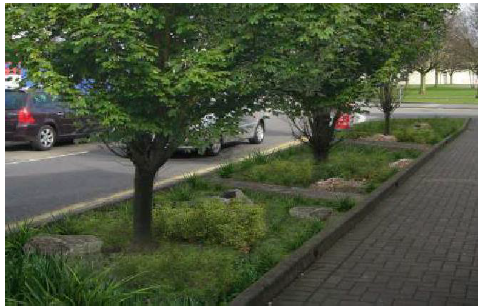 Storm water raingardens can be incorporated within the street design to attenuate rainwater
