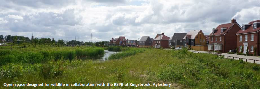 Image of Open space designed for wildlife in collaboration with the RSPB at Kingsbrook, Aylesbury
