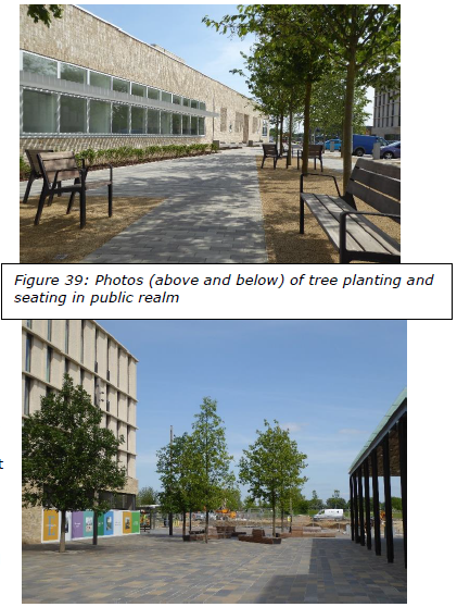 Figure 39: Photos (above and below) of tree planting and seating in public realm