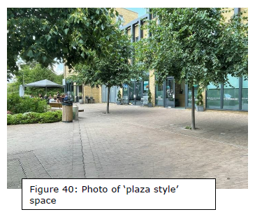 Figure 40: Photo of ‘plaza style’ space