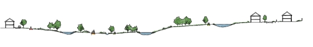 A long shot of a line of trees

Description automatically generated