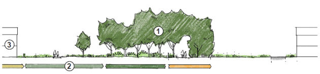 A drawing of a row of trees

Description automatically generated